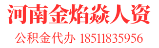 河南金焰焱人资